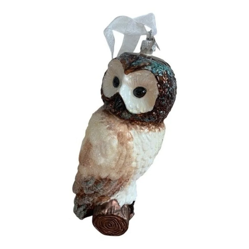 Rare Polish Blown Glass Owl Christmas Ornament 9
